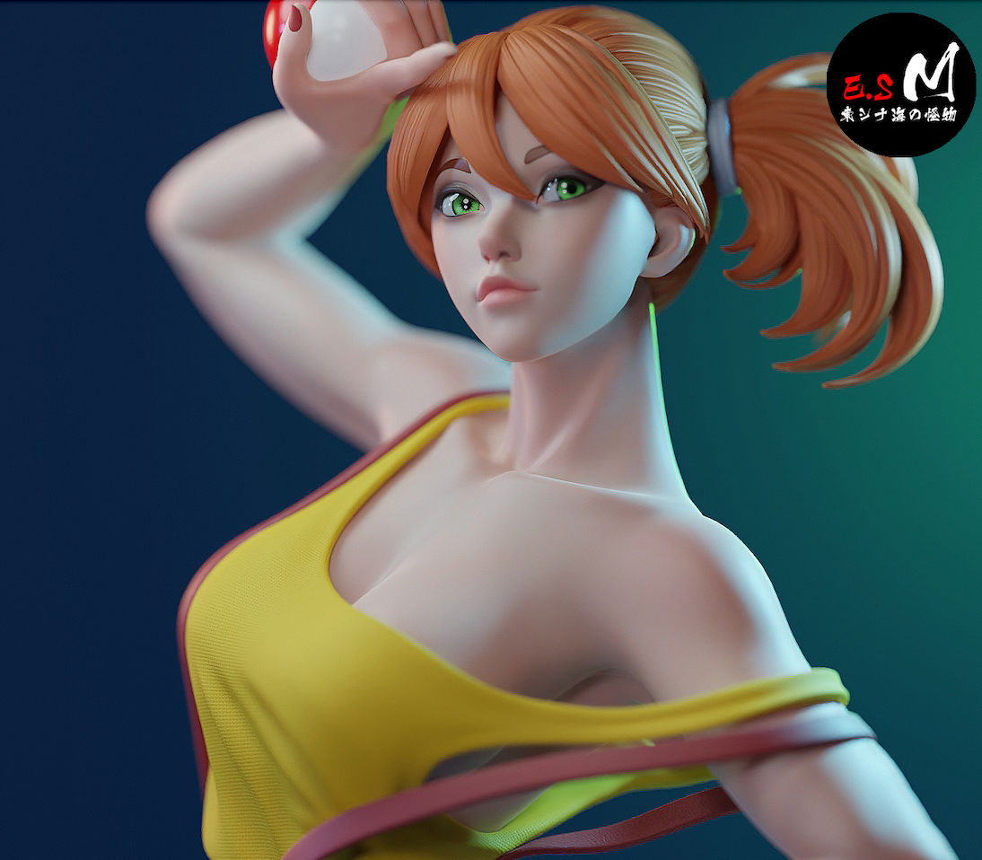 Misty pokemon trainer